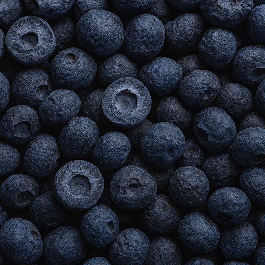 Freeze Dried Blueberries