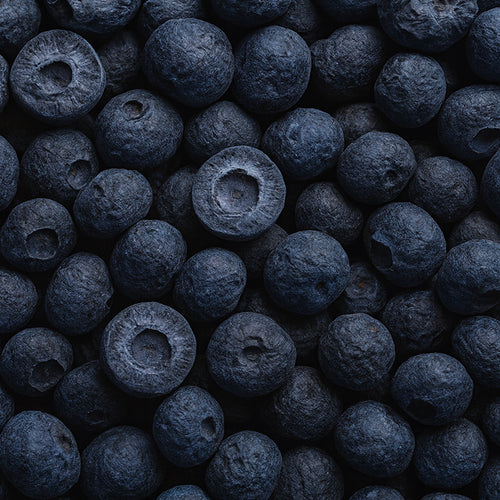 Freeze-Dried Blueberry